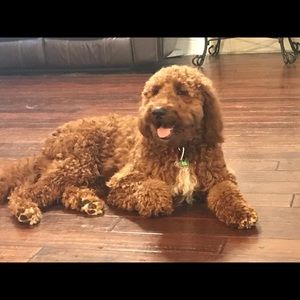 Meet your Posher, Prince